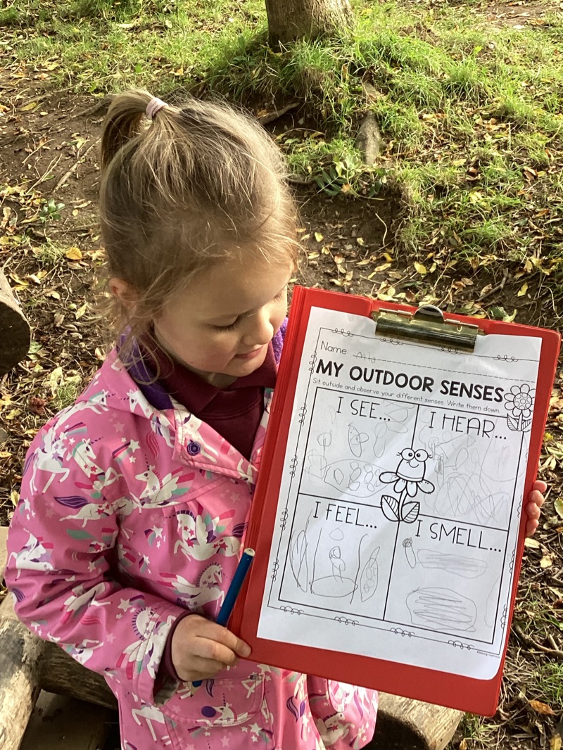 Exploring the Forest - Ysgol Gynradd Llanidloes Primary School